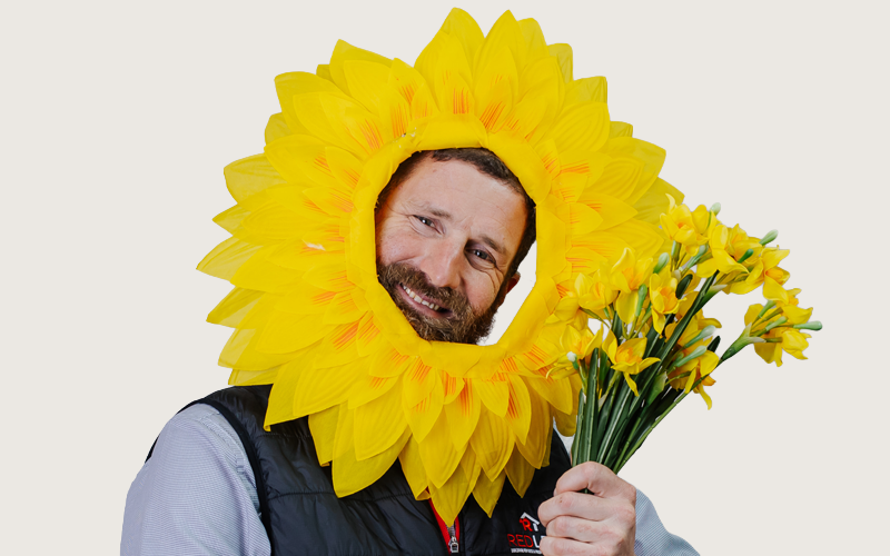 Tom-Spring-Ready-Blog
